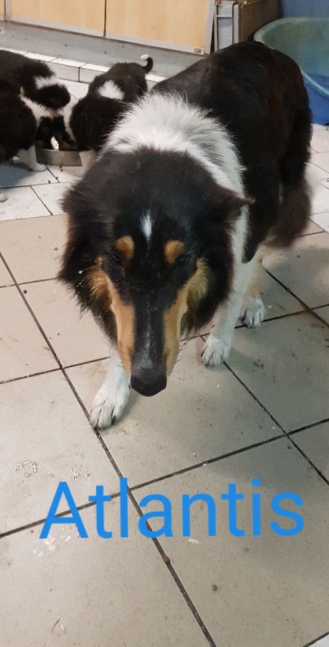 20190710_221619