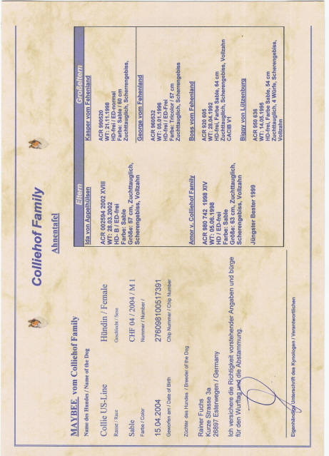 Ahnentafel-Maybee-Seite A