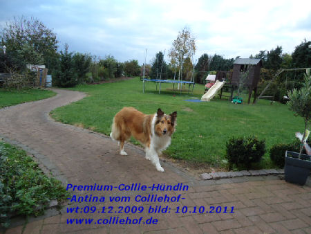 DSC00628-nina