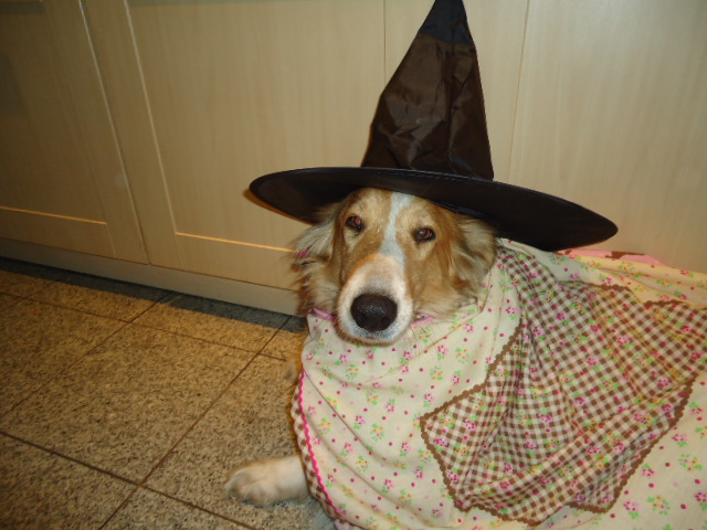 DSC00861