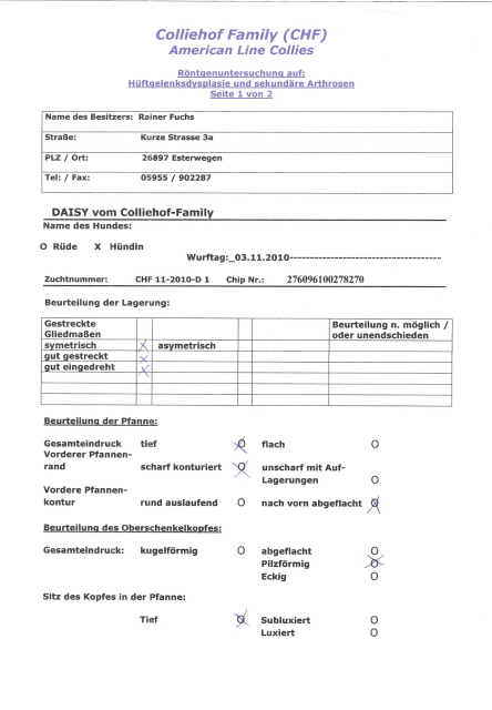 Daisy-HD-Untersuchung-Befund-Seite 1