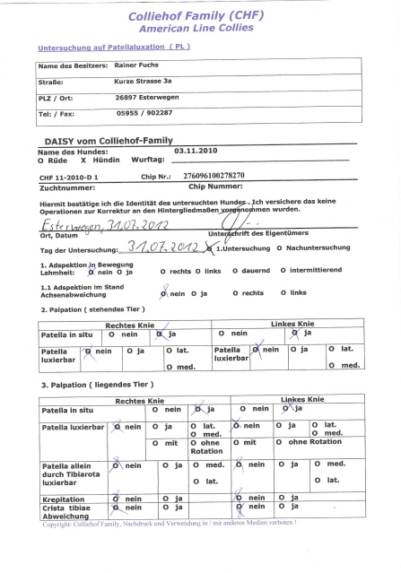 Daisy-PL-Untersuchung-Befund-Seite 1