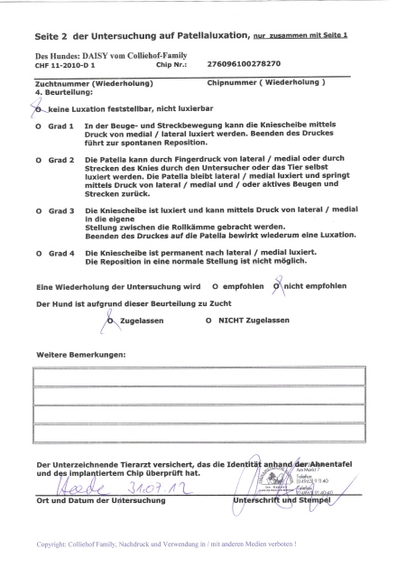 Daisy-PL-Untersuchung-Befund-Seite 2
