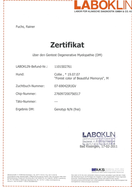 Forest-laboklin-huu
