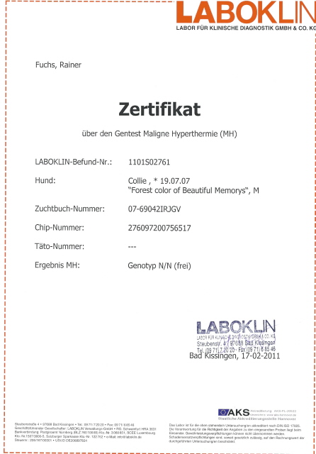 Forest-laboklin-mh