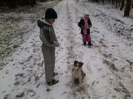 Foto0109-h2