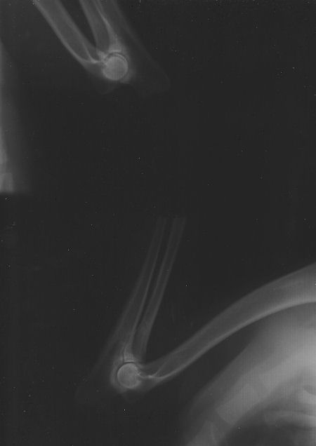Image0007-ed