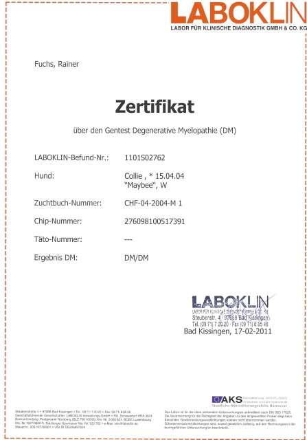 Maybee-laboklin-dm