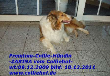Zarina-10-12-11-h