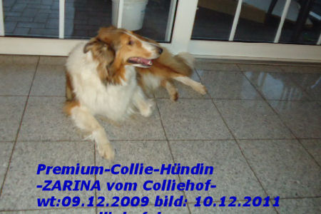Zarina-10-12-11-o
