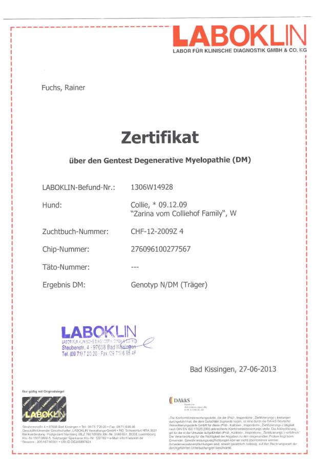 Zarina-Laboklin-DM
