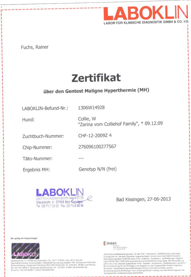 Zarina-Laboklin-MH