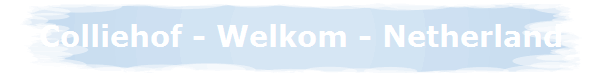 Colliehof - Welkom - Netherland