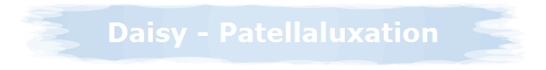 Daisy - Patellaluxation