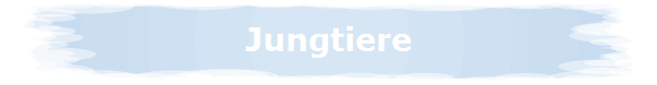 Jungtiere