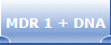 MDR 1 + DNA