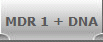 MDR 1 + DNA