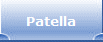 Patella