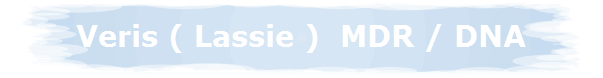 Veris ( Lassie )  MDR / DNA