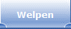 Welpen