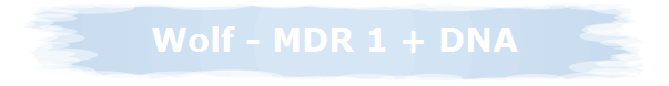Wolf - MDR 1 + DNA