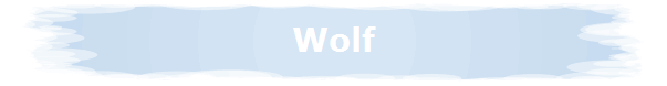 Wolf