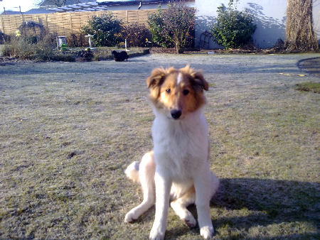 candy 3-2011 014