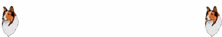 colliebanner_720__fuchs-premium