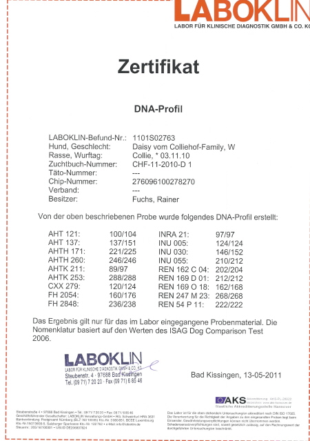 daisy-laboklin-dna-zerti