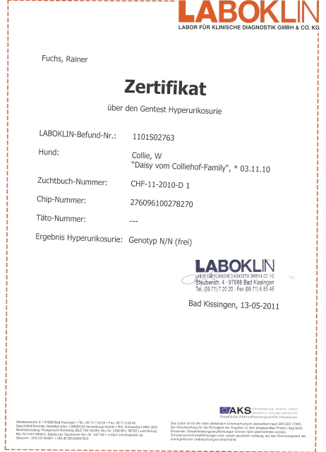 daisy-laboklin-huu-zerti