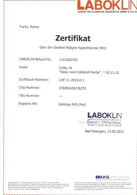 daisy-laboklin-mh-zerti