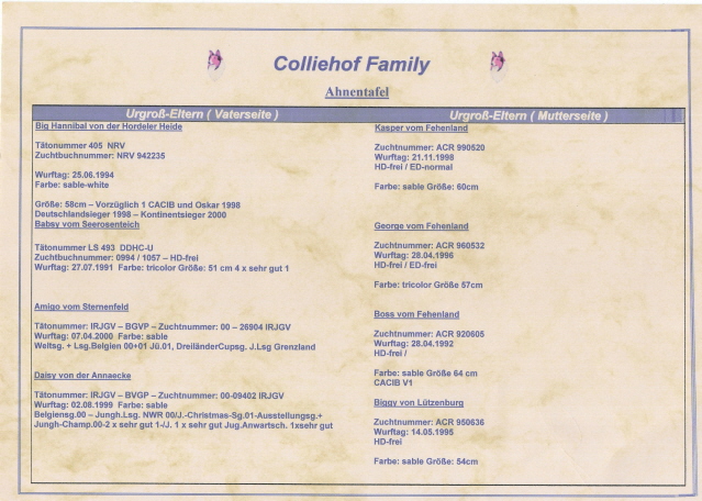 lassie-ahnentafel-r�ck