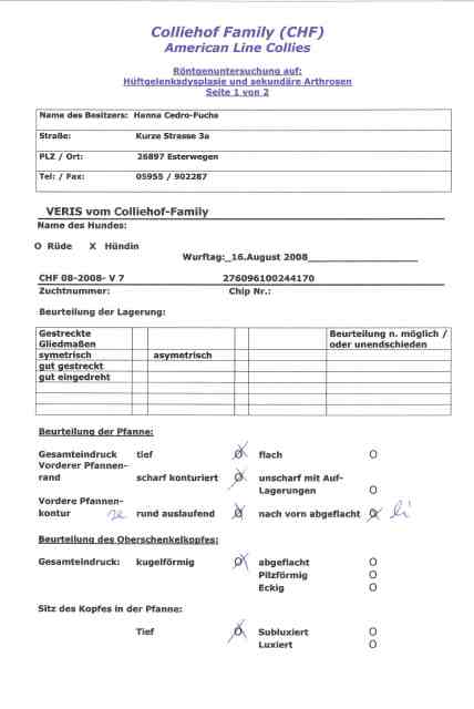 lassie-patella-2[1]