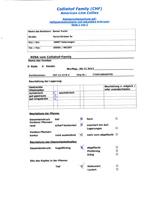 nina-hd-a