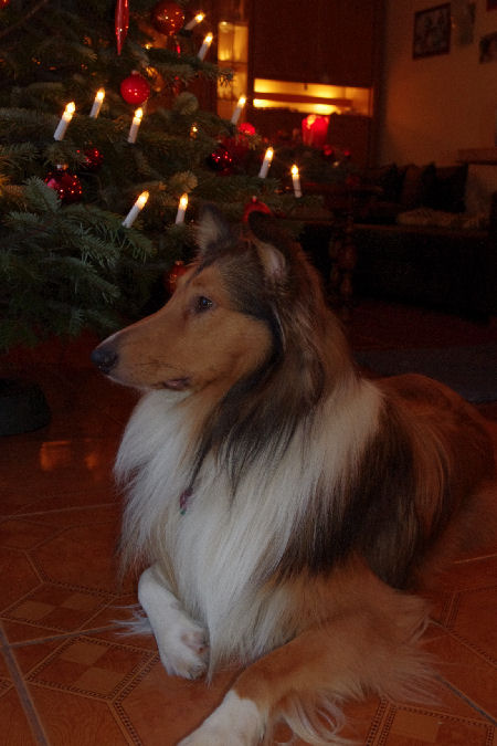 yoda3-2010