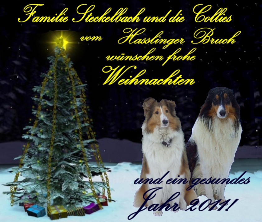zarina- steckelbach-a zarina- steckelbach-a